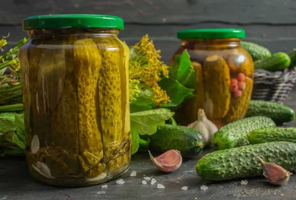تصویر 4 از قیمت خیارشور حلب ویژه + خرید باور نکردنی